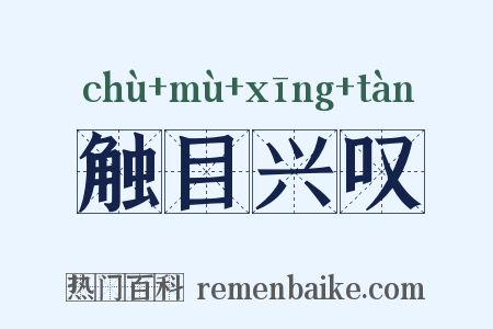 触目兴叹是什么意思的图片